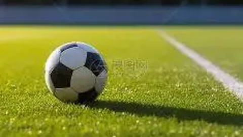 全国男篮联赛本周盛大启幕