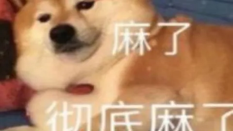 津门虎邀新援加盟，内援试训助力新成员融入